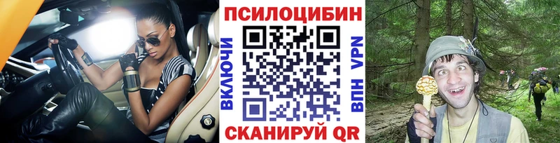 Галлюциногенные грибы Psilocybine cubensis Щигры
